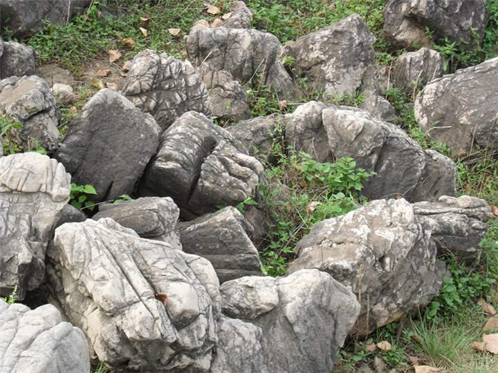 龟纹石石材价格石多少钱一吨
