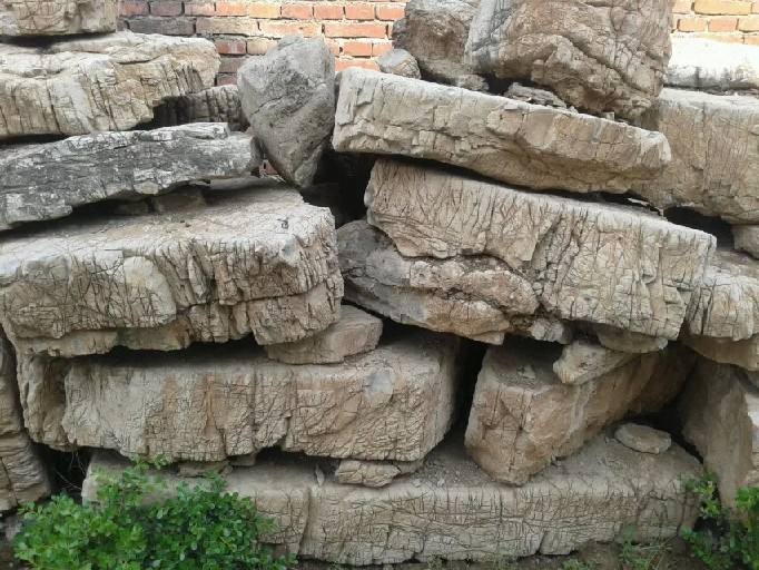 山东龟纹石石材多少钱一吨